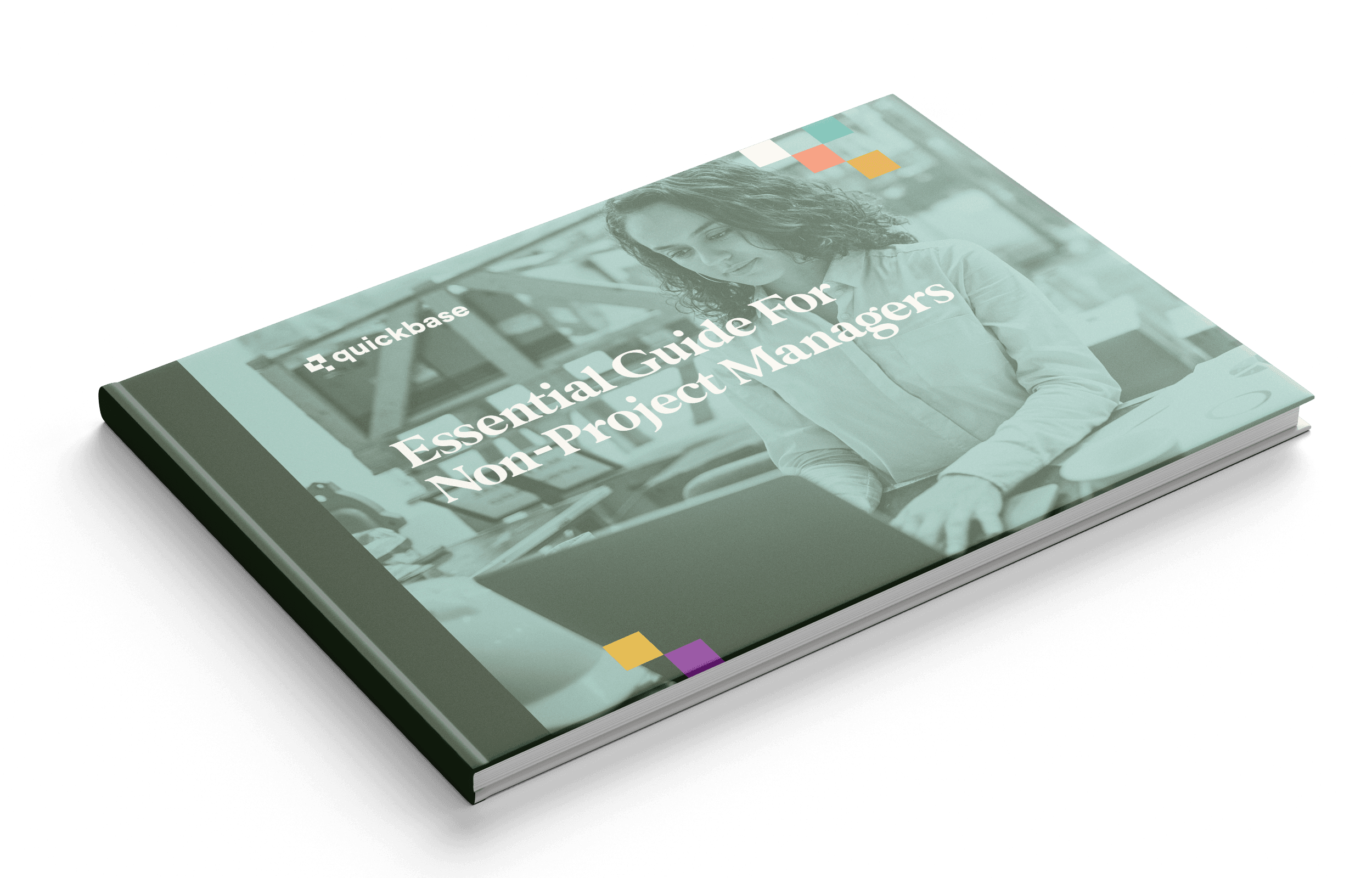 Essential Guide For Non-Project Managers ebook