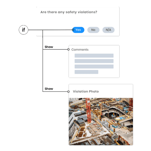 Flag Issues Using Dynamic Forms With Custom Skip Logic and Business Rules